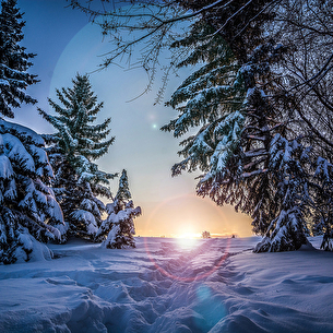 Randonnées en montagne
