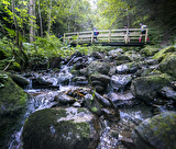 Trail