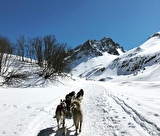 Balade en chiens de traîneau - Savoie - Alpes - Valloire Tourisme