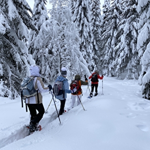 Forêt