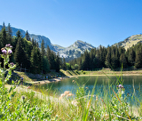 Lac Pré des prés
