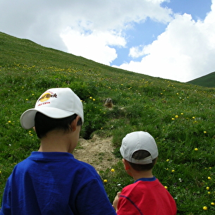 Rando dans les alpages