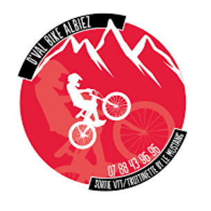 d val bike