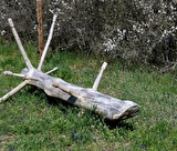 verger de la Balastière