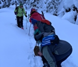 A pas feutres en forêt et panorama sur le Mont Blanc