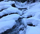 Circuit des cascades de glace, sur les traces du loup
