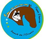 Baptême en chiens de Traîneaux