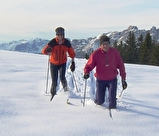 Randonnées pédestres / raquettes / ski-hok avec Anne-Marie