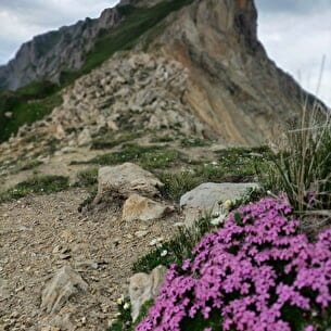 Randonnée au Col du Bonhomme