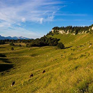 Alpage et ferme