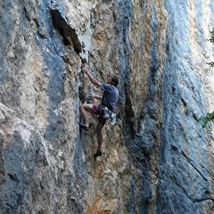 La Goulandière