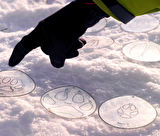 Sur les traces des animaux de montagne