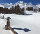 Randonnée en raquettes : Yoga des neiges et marche dans l'air des montagnes