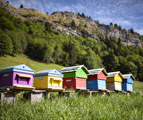 Ruches