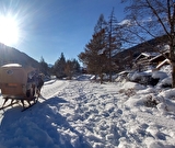 Traîneau à cheval au Grand-Bornand - Les attelages de la flèche blonde