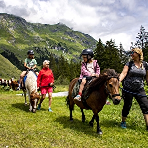 Equitation : balades et initiations à cheval ou à poney | Le P'tit Ranch