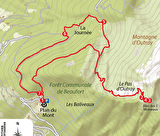 CARTE-COLLECTION-RANDO