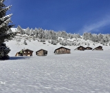 L'adret de Bisanne et ses chalets d'alpage