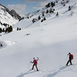 Randonnée en raquettes : traces secrètes de Tarentaise