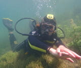 Plongée sous-marine dans le lac de la base de Loisirs de Centron