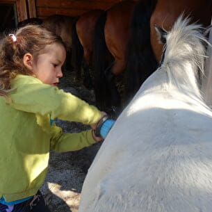 Mini stage poney : une matinée sur le Vercors
