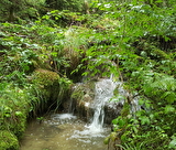 Rivière