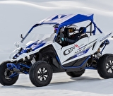 Buggy / SSV