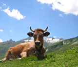 Vallée de la Tarentaise