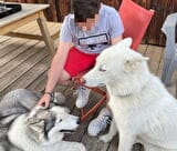 Séance de médiation par l'animal avec Husky en thérapie