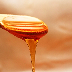 Rando apiculture