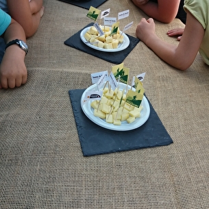 5 sens autour des fromages de Savoie