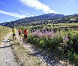 www.scalpfoto.com - trail17 (4)