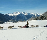 Initiation à la conduite d'attelage de chiens