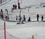 rouge gazon-tapis roulant