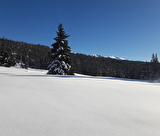 Aventure Grand Nord et repas trappeur