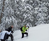 Immersion panoramique dans les alpages