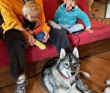 Séance de médiation par l'animal avec Husky en thérapie