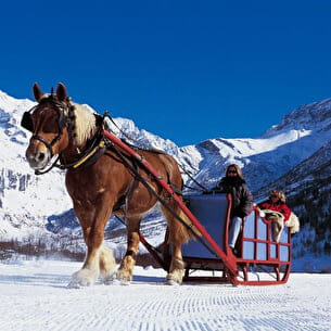 Traineau à cheval