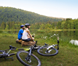 VTT 