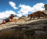 Sortie Esprit parc national Marmottes, bouquetins et avifaune