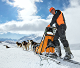 Conduite d'attelage chiens de traineaux à Aussois avec Husky adventure