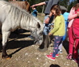 Mini stage poney : une matinée sur le Vercors