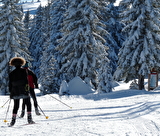 Randonnées pédestres / raquettes / ski-hok avec Anne-Marie
