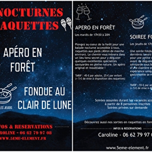 Les Nocturnes en raquettes