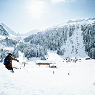 STATANMSM01730010 - DavidAndre-domaineskiable-BD