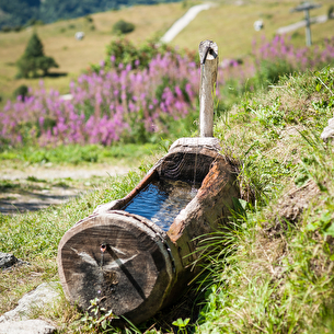 Fontaine à l'alpage de Geneuil Valloire