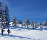 nouvelle-activite-neige