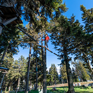 Affût chamois le matin et accrobranche l’après-midi