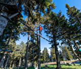 Parcours dans les arbres 