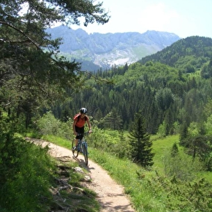 VTT Découverte